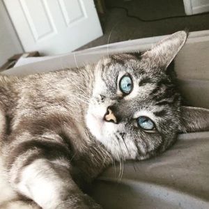 Meet your Posher, Doug